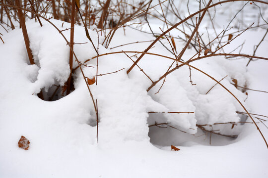 冰雪