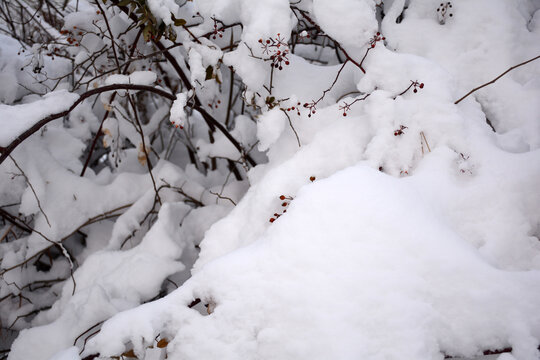 冰雪风光