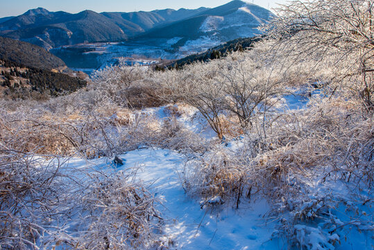 济南黑峪顶雪后雾凇