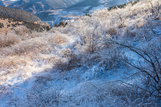 济南黑峪顶雪后雾凇