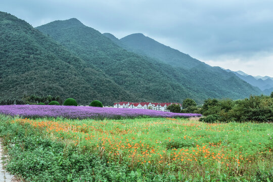 巫溪红池坝