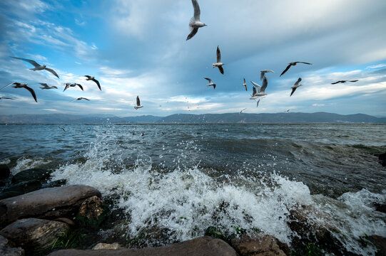 洱海风光