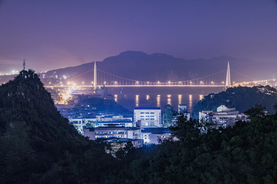 广西柳州鹧鸪江大桥夜景