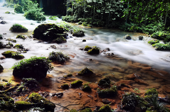 荔波的水