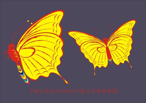矢量蝴蝶彩色蝴蝶素材線條