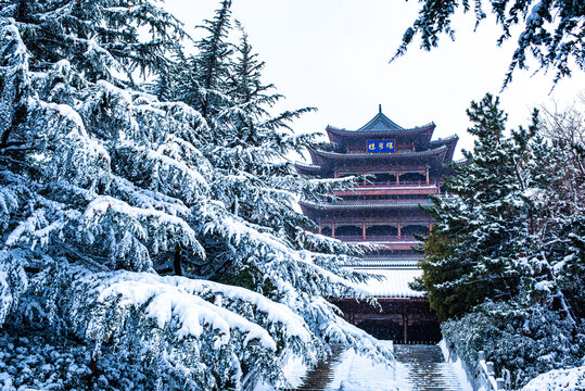 威海环翠楼公园雪景