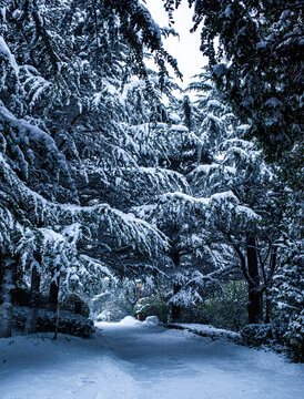 威海环翠楼公园雪景