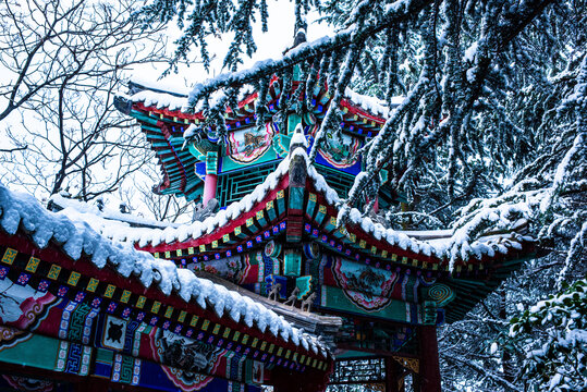 威海环翠楼公园雪景