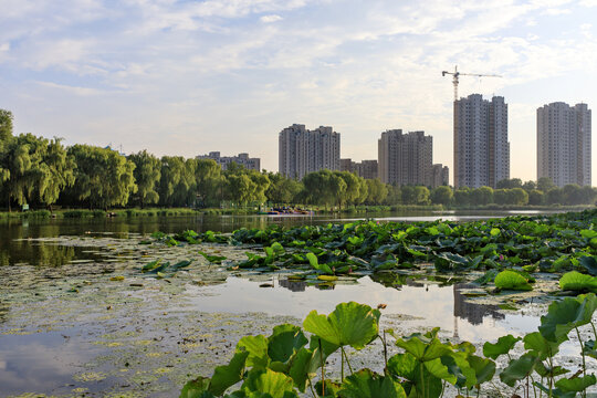 莒南县鸡龙河湿地公园