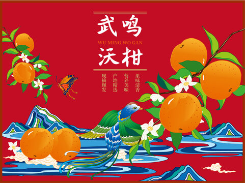 沃柑包裝插畫