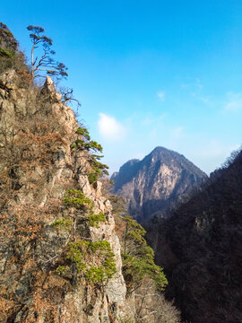 高山风景