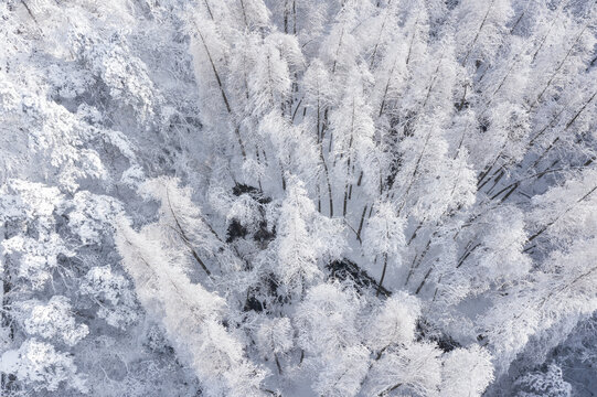 金华北山雪景