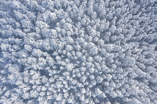 金华北山雪景