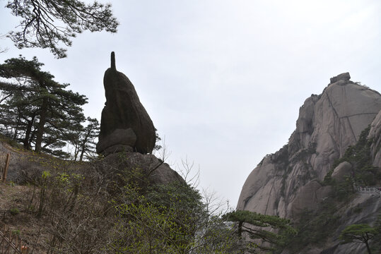 黄山海豚石