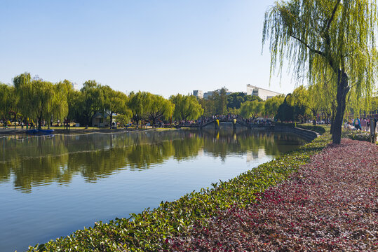 上海大学