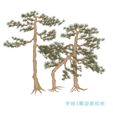 手繪松樹