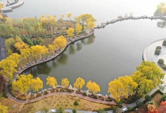 山东枣庄山亭区紫云湖公园秋景