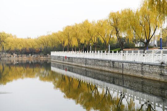 山东枣庄山亭区紫云湖公园秋景