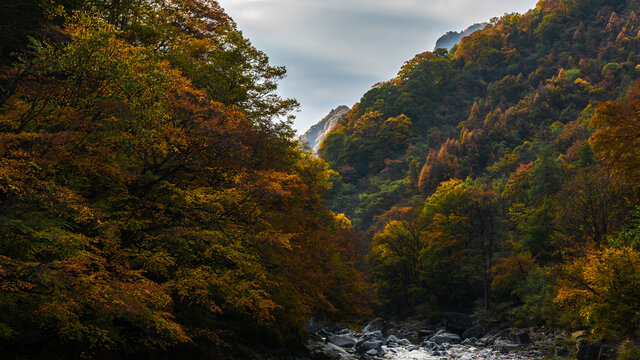 光雾山