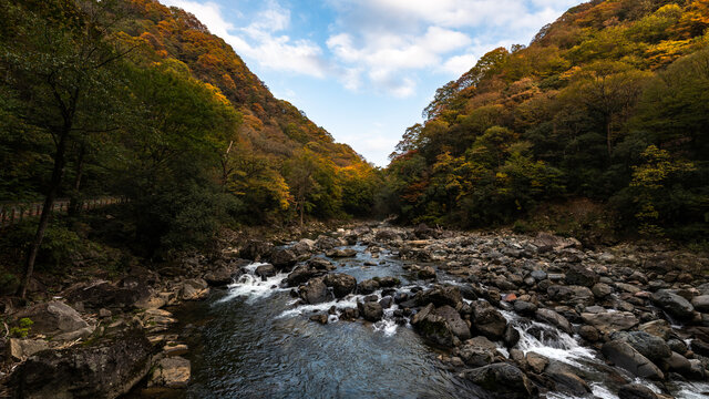 光雾山