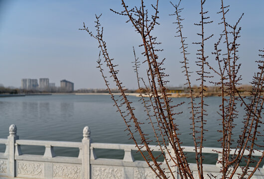 中国开封汴西湖彩虹桥日落夕阳