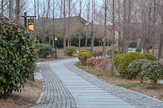 冬天城市花园弯曲小路