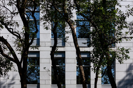 深圳城市建筑与树木相映