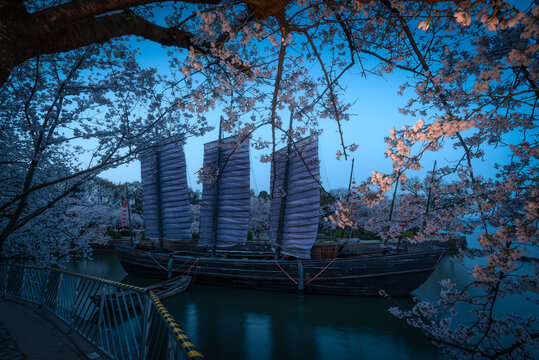 樱花盛开的无锡鼋头渚景区