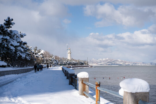 威海灯塔雪景