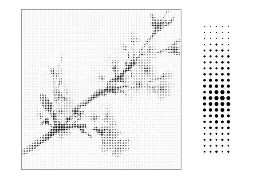 梅花穿孔幕墻