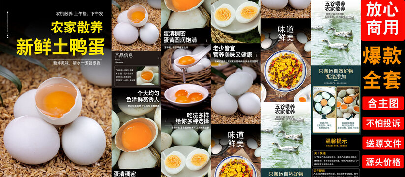 新鮮鴨蛋詳情