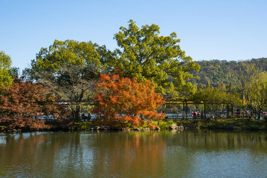 深秋的西湖美景