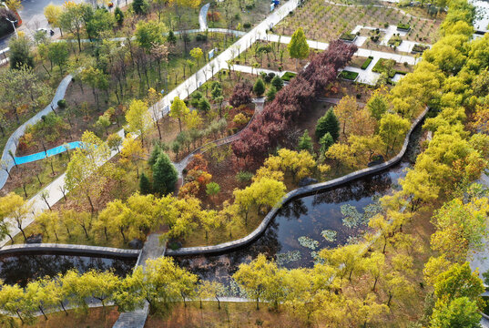 山东枣庄山亭区城市公园秋景