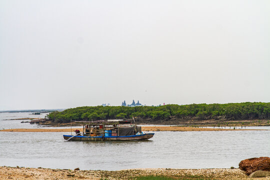 海丝首港红树林