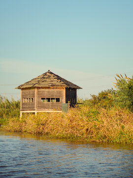 杭州湾湿地公园芦苇荡小木屋