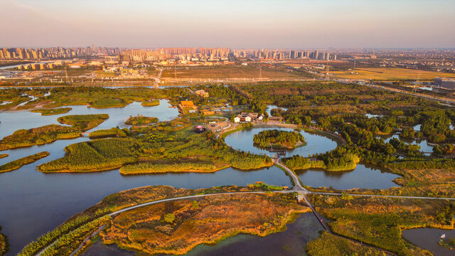 杭州湾湿地公园秋色航拍远景