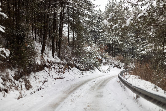 冬季积雪覆盖的森林公路