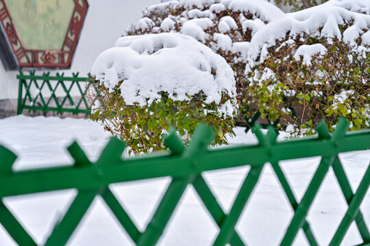 中国开封七盛角水系冬天雪景