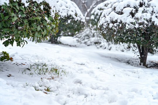 中国开封七盛角水系冬天雪景