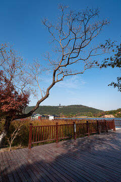 江苏张家港香山湖公园风景