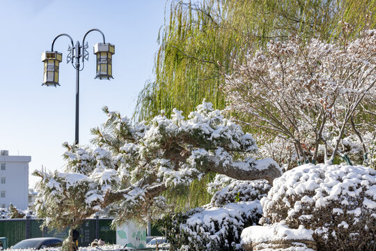 济南大明湖雪景