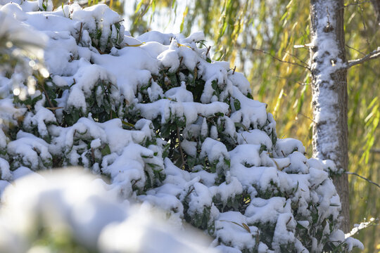 济南大明湖雪景