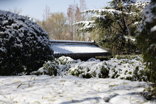 济南的冬天雪后大明湖