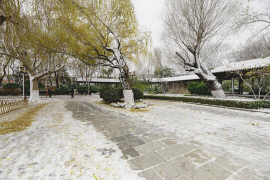 济南的冬天雪后美景
