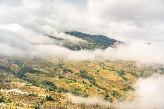 云南元阳坝达梯田的风景