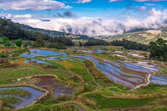 云南元阳箐口村梯田风景