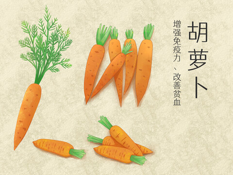 手绘水彩蔬菜胡萝卜插画