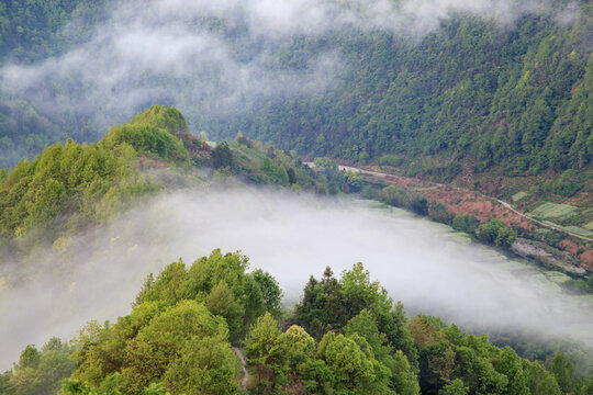 皖南山区云雾