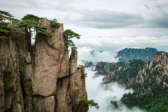 黃山云海