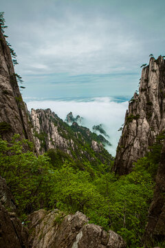 黃山云海